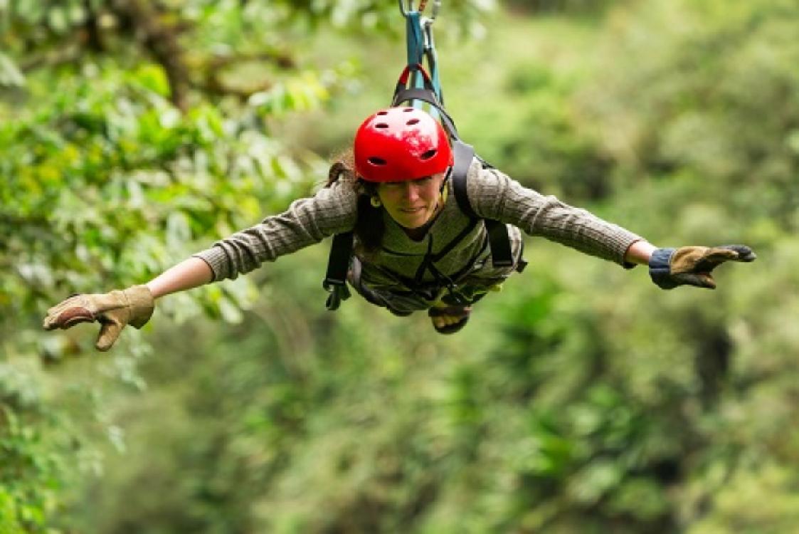 High Ropes Tree Adventure - 1