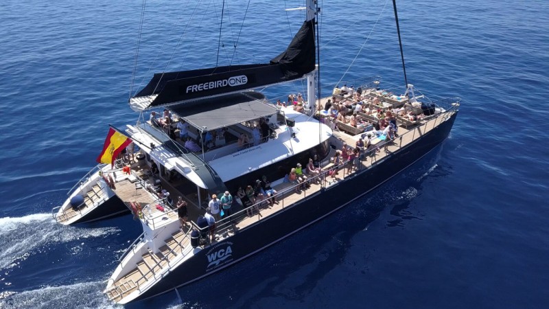 Catamaran on the sea